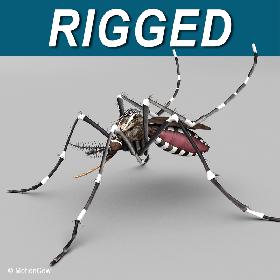 Human ZBuilder for 3ds MAX